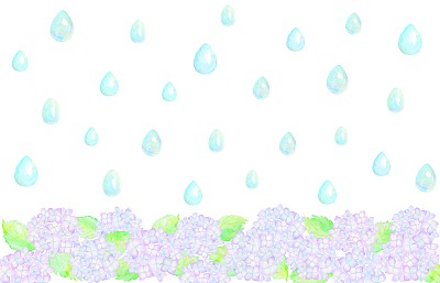 雨下时绣球花田的侧视图