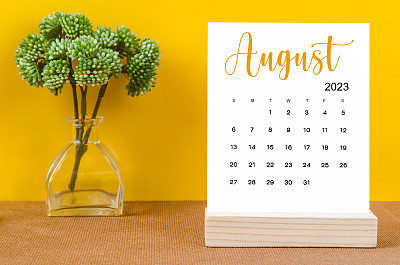 The August 2023 Monthly desk calendar for 2023 year with flower pot on yellow background.