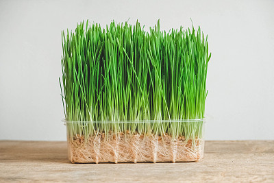 生物学