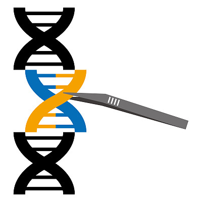 矢量插图的转基因图像