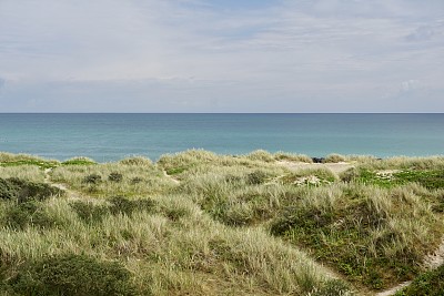 丹麦的沙丘。丹麦的海滩。丹麦北部的沙丘。沙丘草。日德兰半岛上的沙丘。