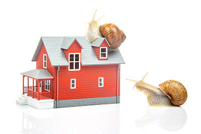 白色背景上的屋顶蜗牛模型。居家舒适和居家生活的概念