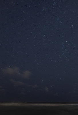 夜晚沙滩上的星空和英仙花