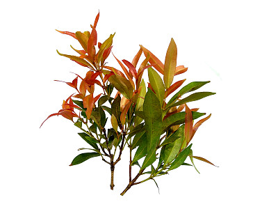 齐图片大全-齐高清图片下载-第3页-觅知网