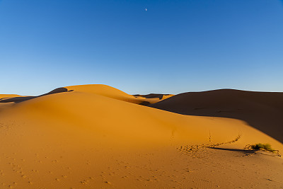 摩洛哥西撒哈拉沙漠的黄金时刻