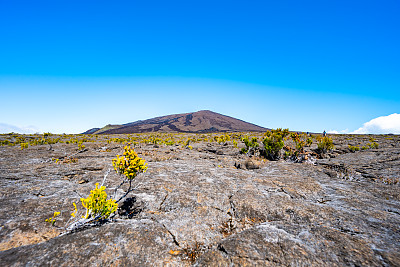 游客们漫步在一个天然的火山景观中，在凝固的熔岩流中间有小灌木丛，在山顶下面有一片现有的火山口。欧洲法国留尼汪岛的富尔奈斯峰。
