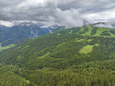 阿尔卑斯山中部东部的山地景观中有松树林