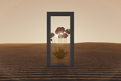 沙漠上开着一扇门，开着一朵美丽的花