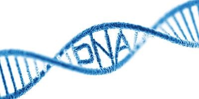 DNA。隔离在白色背景宽