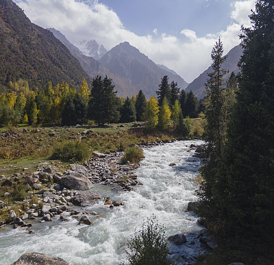 吉尔吉斯斯坦的山景秋色，溪流和森林