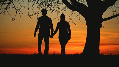夕阳下，橙色的天空映衬着田野上的树干，一对夫妇手拉手的背影