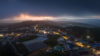 林东省大叻市曹达镇日落时的美丽风景。风吹茶山上，晨景山坡上茶树下