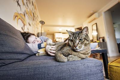 被猫打扰:困倦的女孩醒来，伸手去摸沙发上的猫。