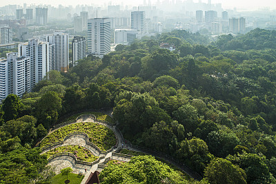 新加坡住宅附近的森林公园鸟瞰图