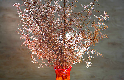 红橙花瓶与干花在中性的背景。简约现代的室内装饰理念。侘寂式美学。