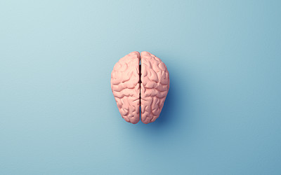 人脑在软蓝色软背景