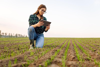 一名农妇用数码平板电脑检查手中的土壤质量。