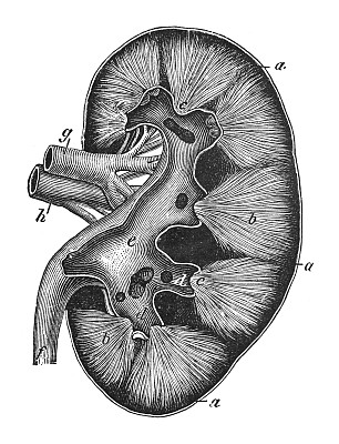 生物学