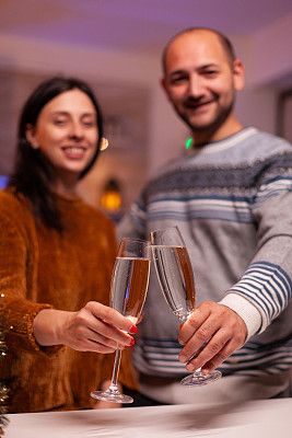 快乐的夫妇碰杯酒庆祝圣诞节的传统节日