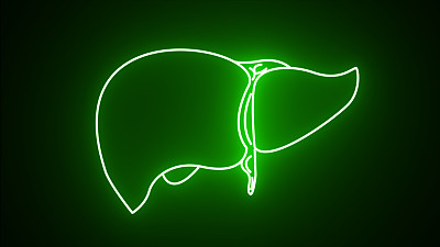 绿色霓虹灯线人体器官肝脏图标孤立在黑色背景。霓虹医疗:肝脏。运动图形