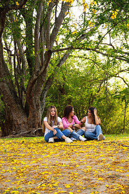 一群三位拉丁裔女性朋友坐在散落着黄花的公园里聊天或交谈，享受大自然