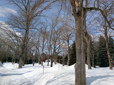 大风雪
