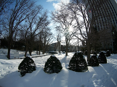 大风雪