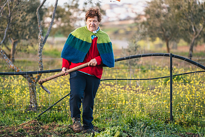 农村的老年妇女穿着当地的工匠服装，手里拿着锄头，在地里干活，照顾花园里的植物