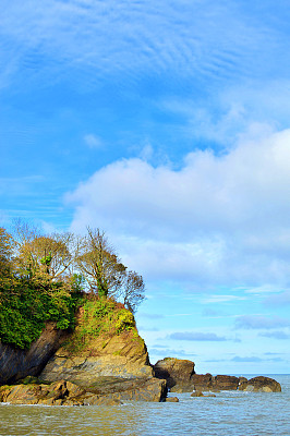 风景优美的自然-宁静的垂直场景，平静舒缓的海浪旁边的悬崖覆盖着树木，岩石或石头在海滩上，浅蓝色的天空与水在地平线上，德文郡，英格兰，英国
