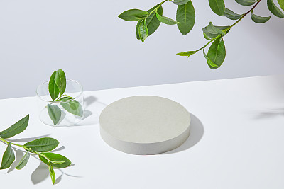 在白色台面上放置的空白圆形基座上的俯视图照片，用于展示产品，旁边是一个玻璃杯，里面有一个小绿茶枝。用于显示和添加文本的空间