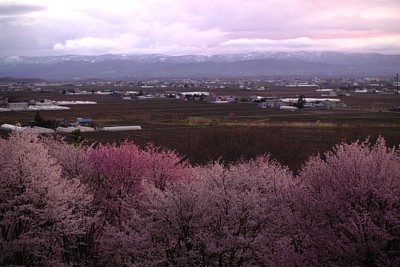 札幌中岛公园