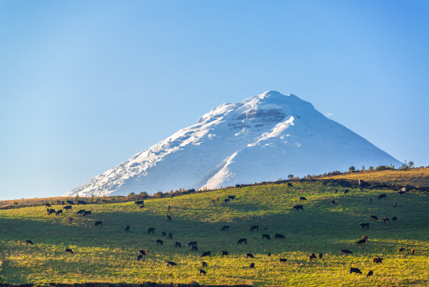 科多巴克西火山