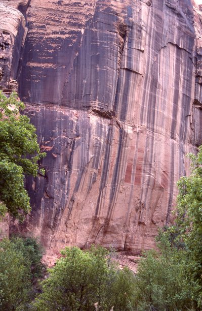犹他州卡夫溪州立公园附近埃斯卡兰特峡谷的染色砂岩墙