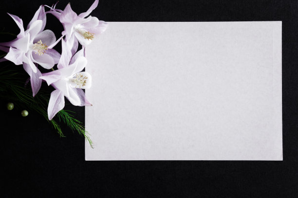 白色空白的吊唁卡与鲜花在黑暗的背景。文本的空位置。