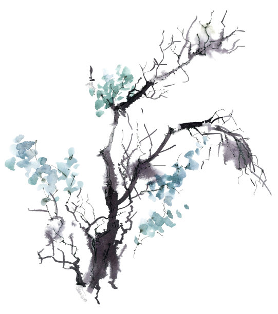 花序
