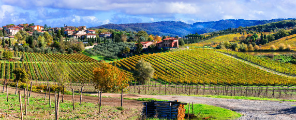 美丽的乡村和葡萄园在秋天的颜色。意大利托斯卡纳
