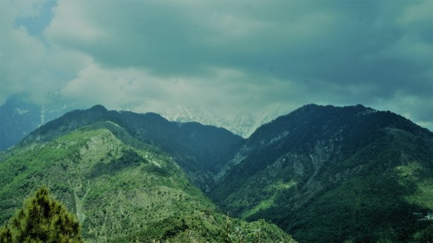 山