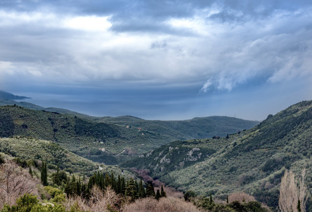 山