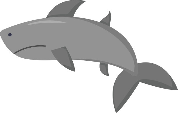 矢量动画鲨鱼