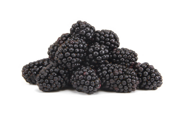 黑莓果