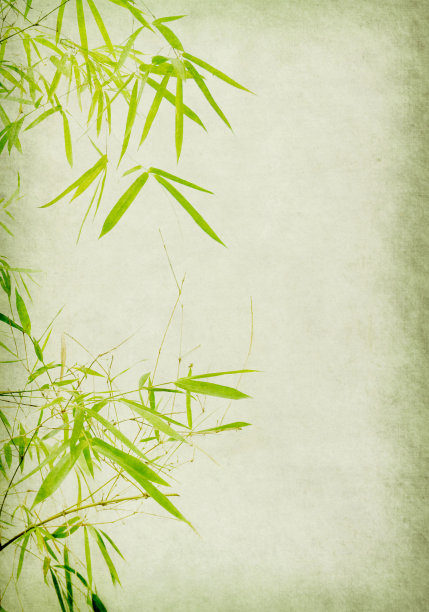 竹