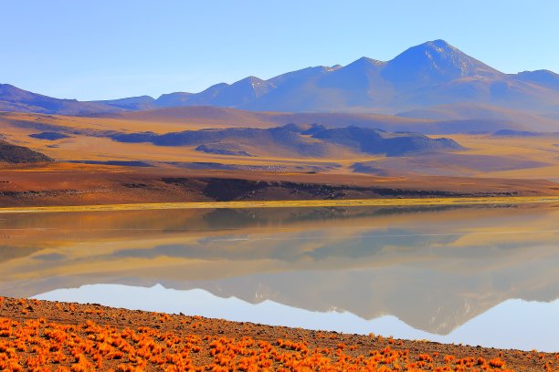 图亚克托湖- Ethereal Lake Tuyacto and Miniques snowcapped Volcano - Turquoise Lake salt mirrored reflection and田诗化的阿塔卡马沙漠，火山景观全景- San Pedro de Atacama，智利，Bolívia和阿根廷边境