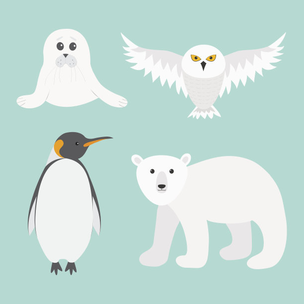 北极极地动物集。白熊，猫头鹰，帝企鹅，帝企鹅，海豹幼崽，小竖琴。孩子教育的卡片。南极洲蓝色背景平面设计