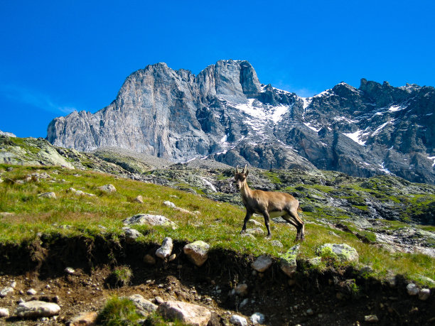 本尼斯阿尔卑斯山
