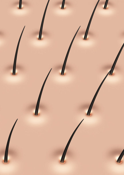 头皮插画设计-头皮插画素材-头皮插画图片-觅知网