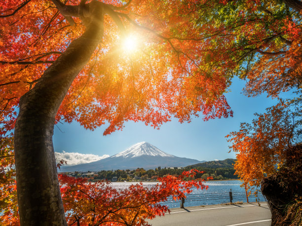 芦之湖