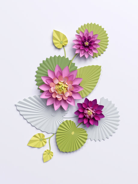 百合花