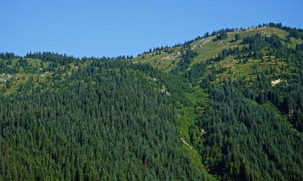 高山湖泊荒野草甸