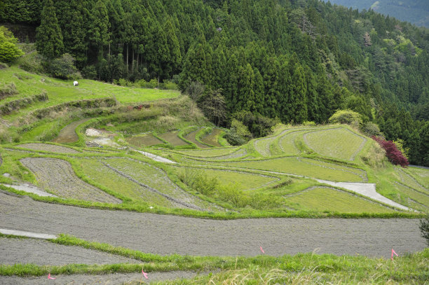德岛县