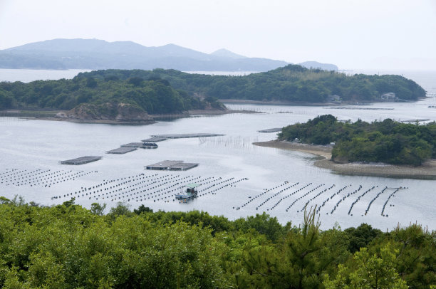 阿戈湾